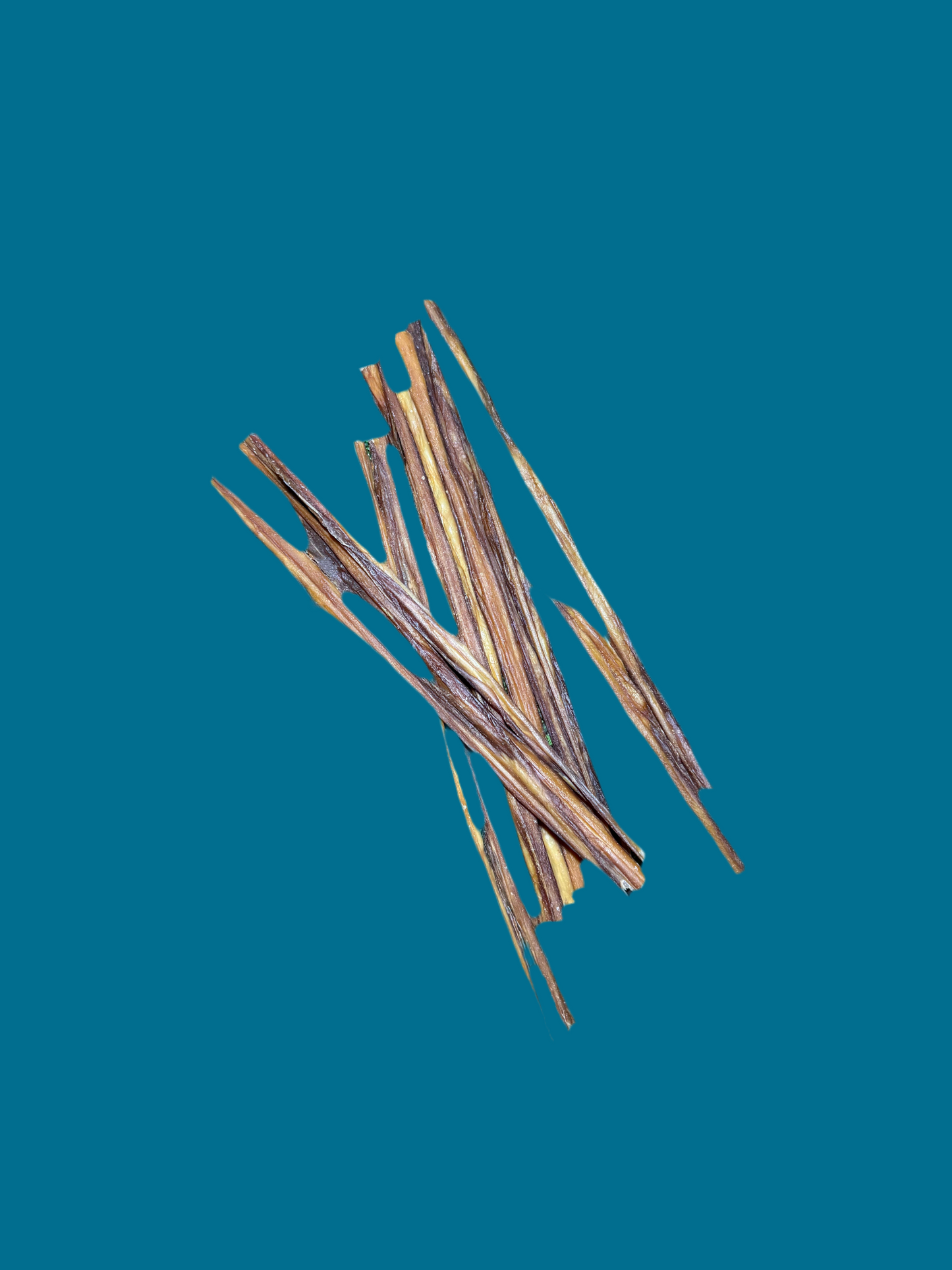 1x Pork Spaghetti