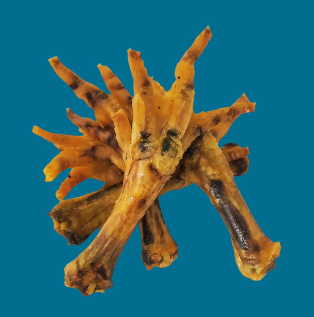 1x Chicken Feet