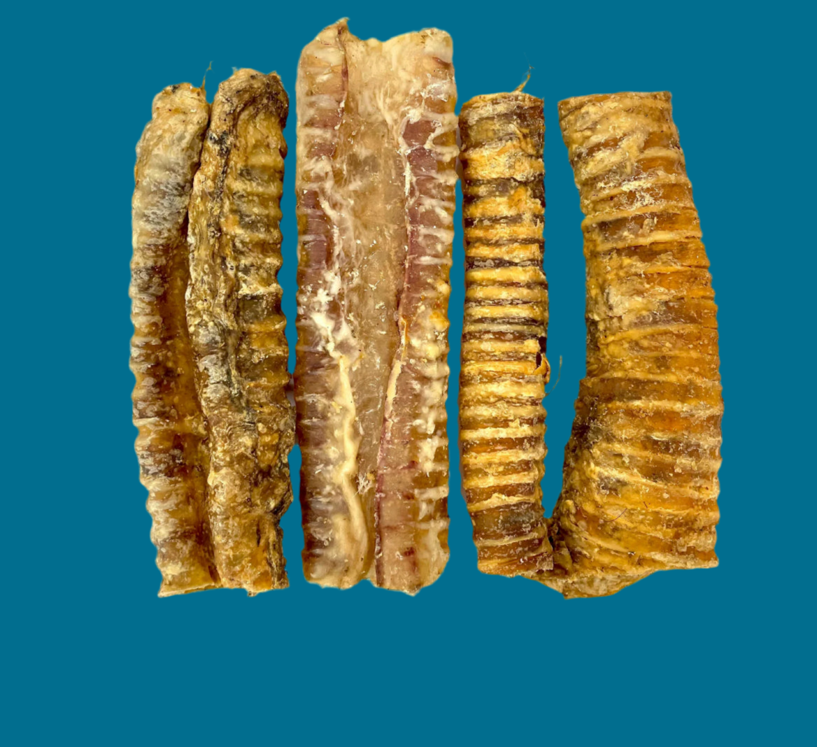 1Kg Beef Trachea 10-15cm
