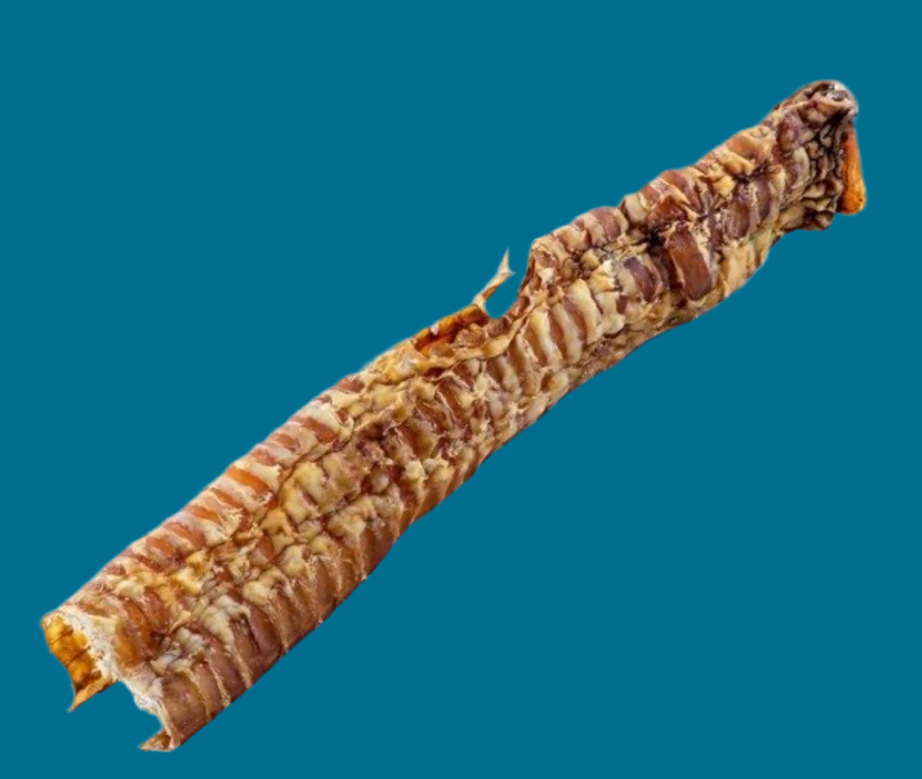 1Kg 100% Beef Trachea 15-40cm