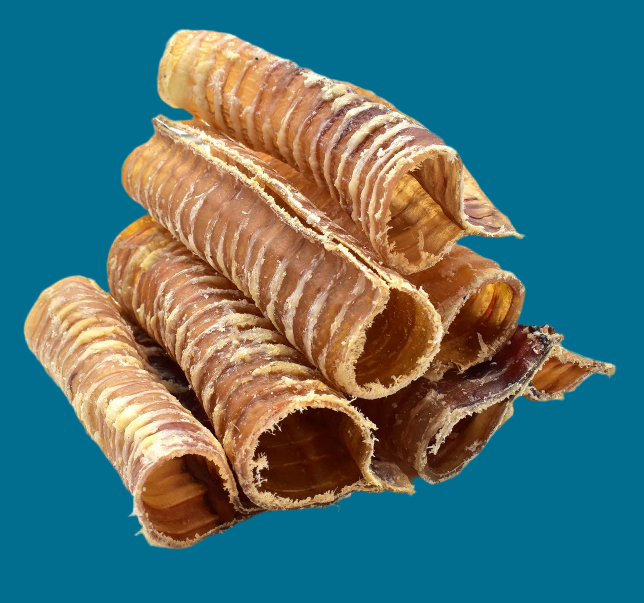 100% Beef Trachea 10-15cm