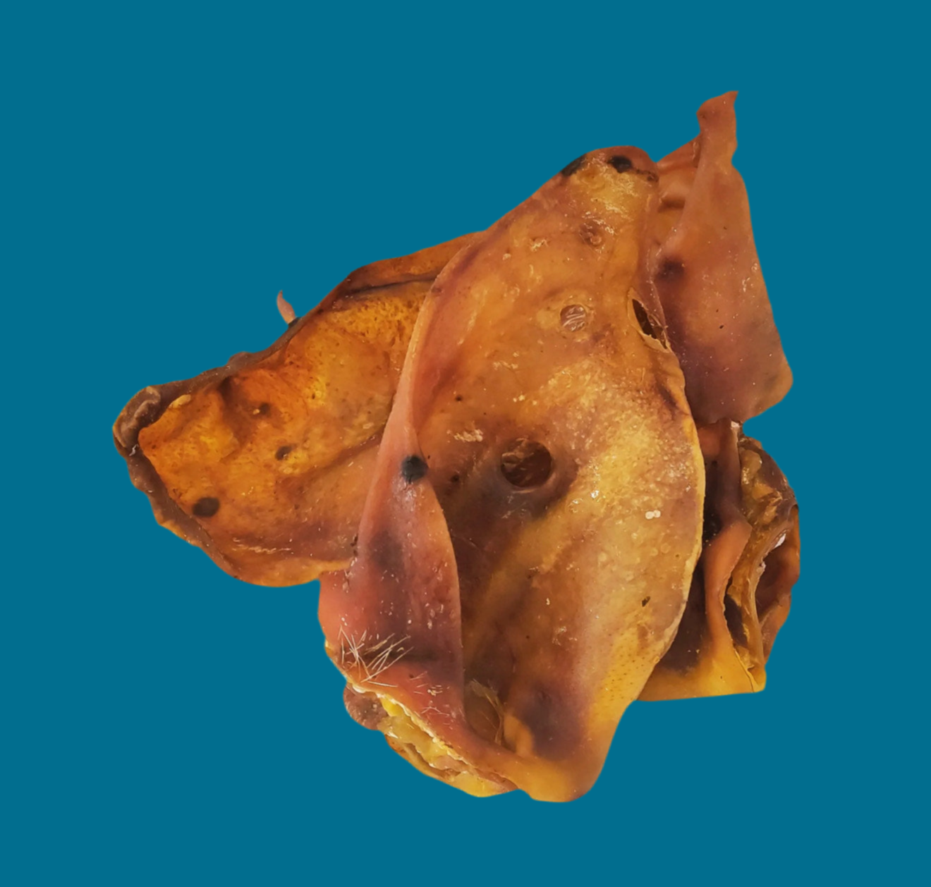 1x Pig Ears