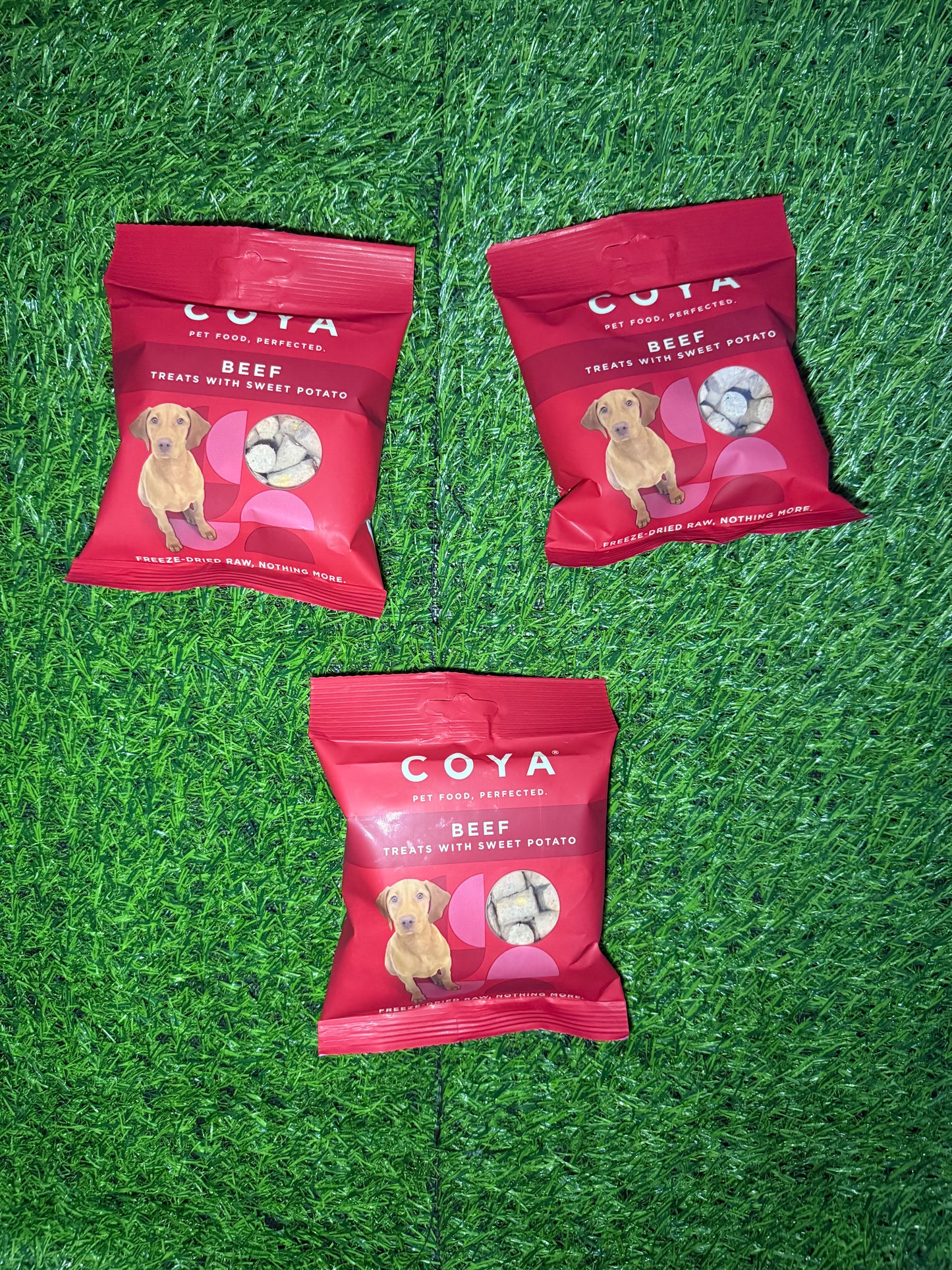 Beef Coya